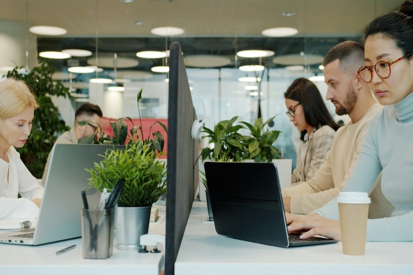 Team di professionisti al lavoro su strategie di comunicazione digitale e progetti web